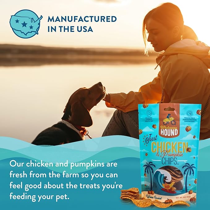 Just Chicken & Pumpkin Chips | Two Premium Ingredient & Healthy Dog Treats | All Natural Canine Rewards | Dog Training Treats for Small, Medium, and Large Breeds | Made in USA - 3oz