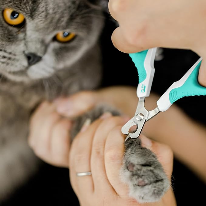 Mr. Pen- Cat Nail Clipper, Sky Blue Cat Nail Trimmer, Cat Nail Clippers, Cat Claw Clippers, Cat Clippers for Nails, Pet Nail Clippers, Kitten Nail Clipper, Small Dog Nail Clipper Cat Claw Trimmer
