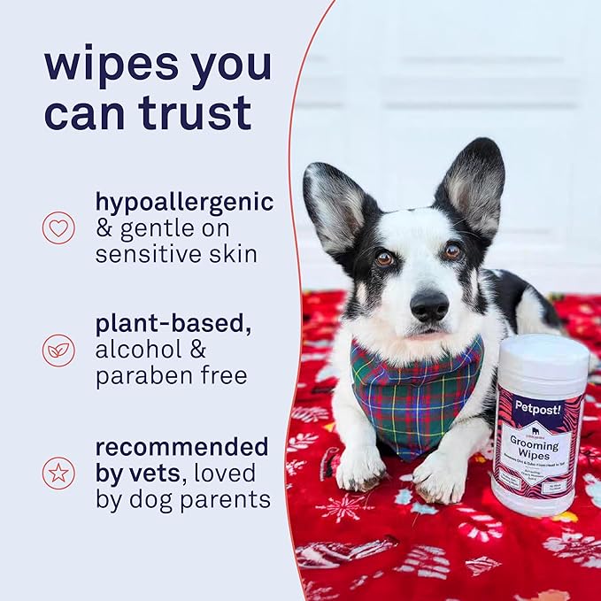 Petpost Grooming Wipes for Dogs | 70 Count Large Deodorizing Dog Cleaning Wipes with Coconut Extract & Aloe | Gentle Pet Wipes with Cherry Blossom Scent for Full-Body Grooming