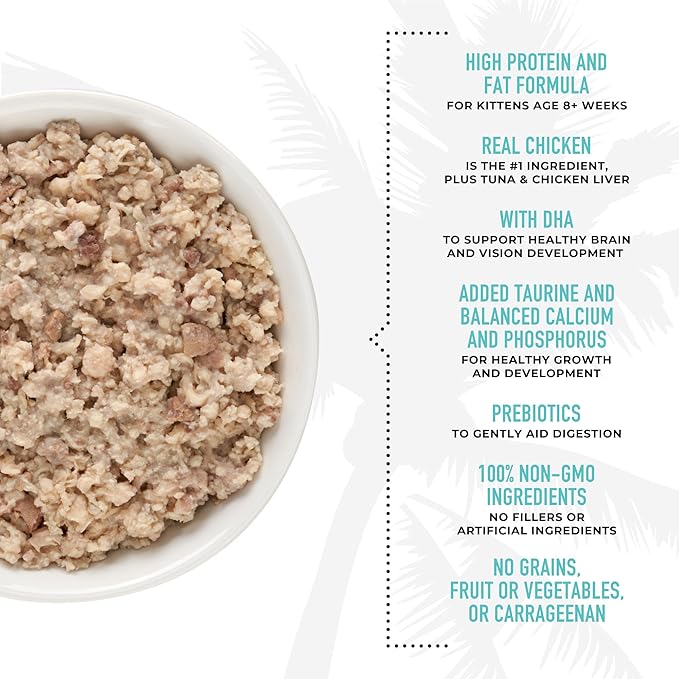 Tiki Cat Baby, Chicken Tuna & Chicken Liver Shreds, High-Protein and Flavorful, Wet Cat Food for Kittens 8 Weeks Plus, 2.4 oz. Cans (Pack of 12)