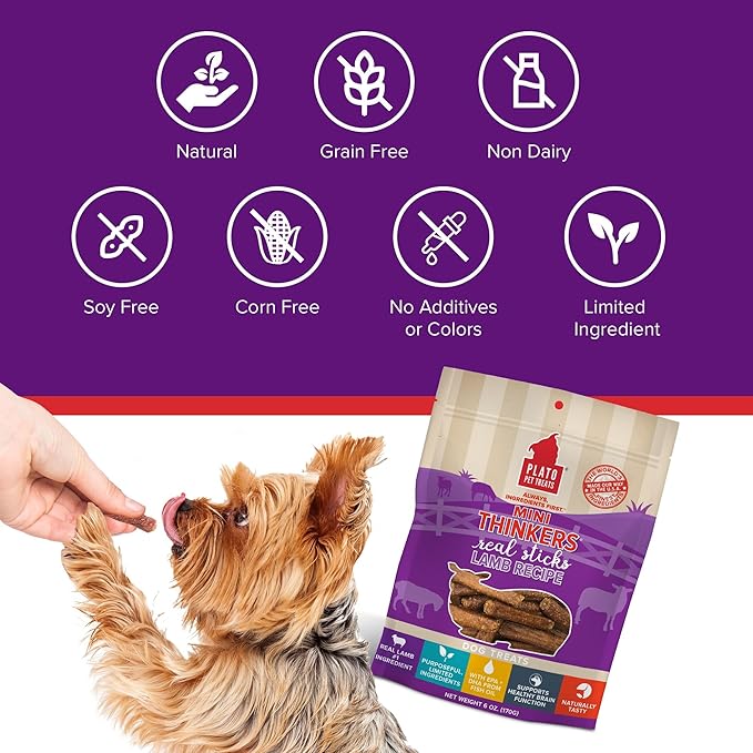 Plato Pet Treats Thinkers - Meat Stick Treats for Dogs - Limited Ingredient Dog Treats with EPA and DHA to Support Skin, Coat, and Brain - Air-Dried Dog Treats - Mini Thinkers Lamb 3oz