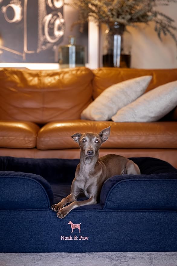 NOAH & PAW Large Dog Bed, 35x25x11 Inch, Orthopedic Dog Beds, Eggshell Memory Foam Infused with Cooling Gel, Inner Cover, Waterproof, Machine Washable (Denim Sofa Collection)