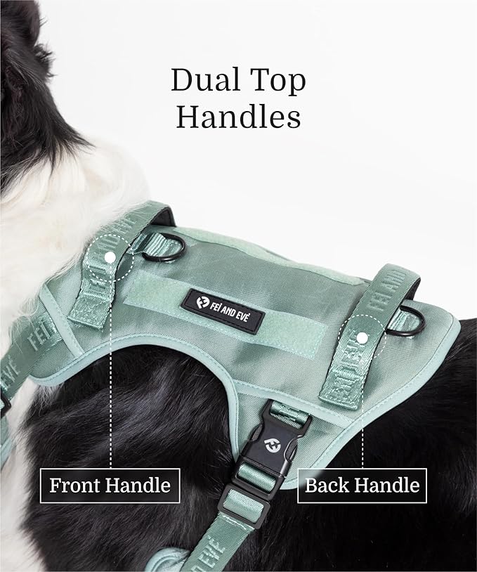 2025 New Edition, Fei & Eve Classic Dog Harness - Quick-Release Buckles | 3-Point No-Pull Control | Heavy-Duty 900D Nylon | Dual Safety Handles | Breathable Mesh | Adjustable Fit | Large,Green