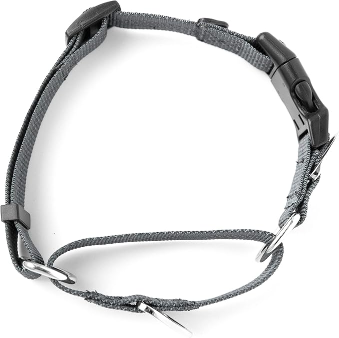 Mighty Paw Martingale Nylon Training Collar - Durable and Safe Choke Collar - Dog Collars Cinch for Controlled Training - Reflective Stitching for Dogs Safety - Grey - Large