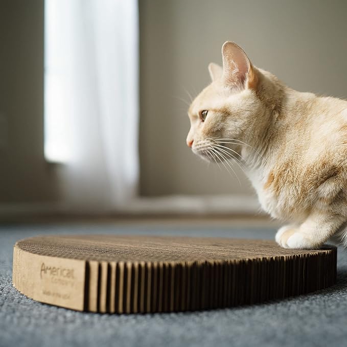 Cat Scratcher by Americat – Made in USA Cardboard Scratching Pad & Lounger – X Large, 2-Sided, Heavy, No-Shedding, Long-Lasting (Corner)