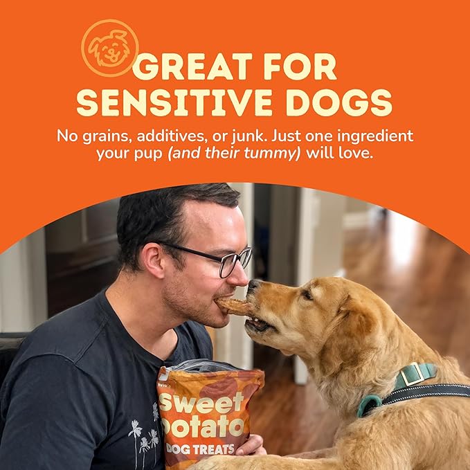 Davie's Sweet Potato Dog Treats - Healthy, Natural, Low Fat Chews Made in USA Only, 0.5 lb. Bag