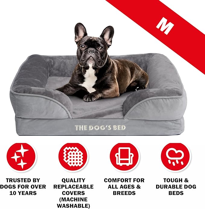 The Dog’s Bed, Orthopedic Standard Foam Waterproof Dog Bed with Standard Support, Medium Silver Grey Plush, Waterproof, Supportive Dog Bed with Replaceable Covers