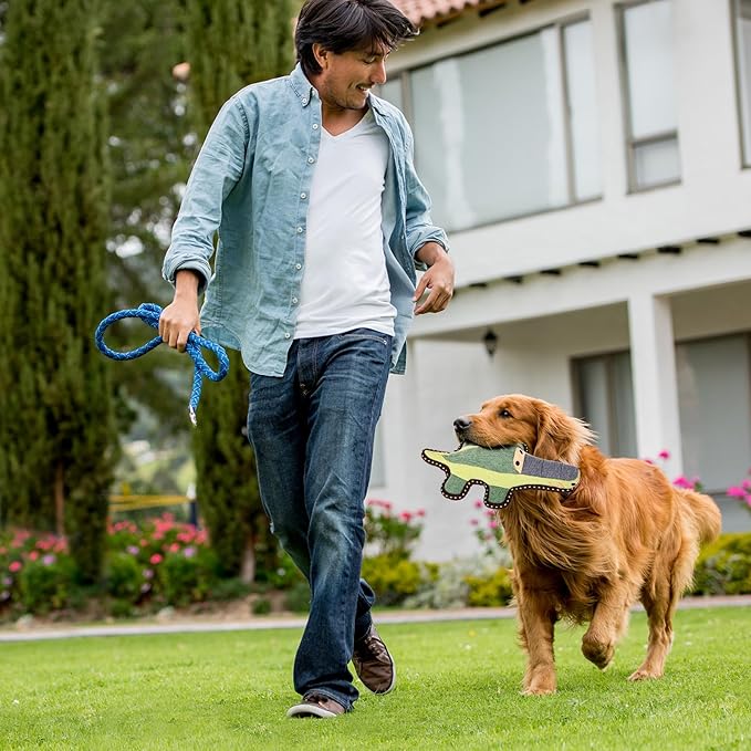 Tough Durable Squeaky Dog Toys for Aggressive chewers Interactive to Keep Them Busy, Funny Plush Dogs Toy for Small Medium Large Chewer Cute Birthday Gift (Crocodile)