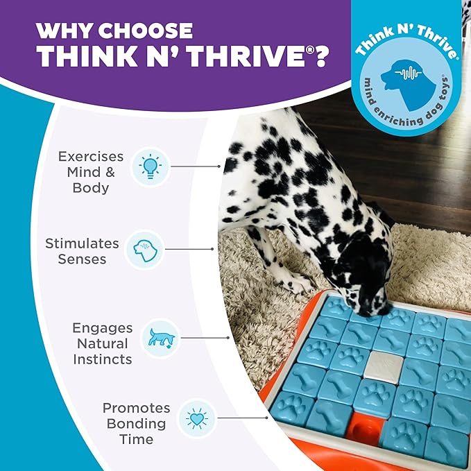 Outward Hound Nina Ottosson Challenge Slider Interactive Treat Puzzle Dog Enrichment Toy, Level 3 Advanced, Multicolored