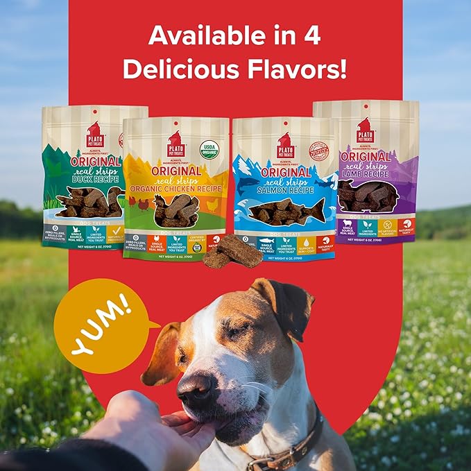 PLATO Original Real Strips Organic Chicken 6oz, brown