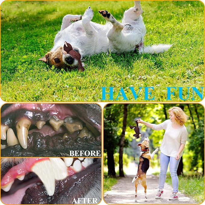 Squeaky Dog Toys for Large Dogs, Plush Dog Toys for Medium Dogs, Cute Animals Stuffed Dog Chew Toys to Keep Them Busy for Small Medium Large Breed - Bear L