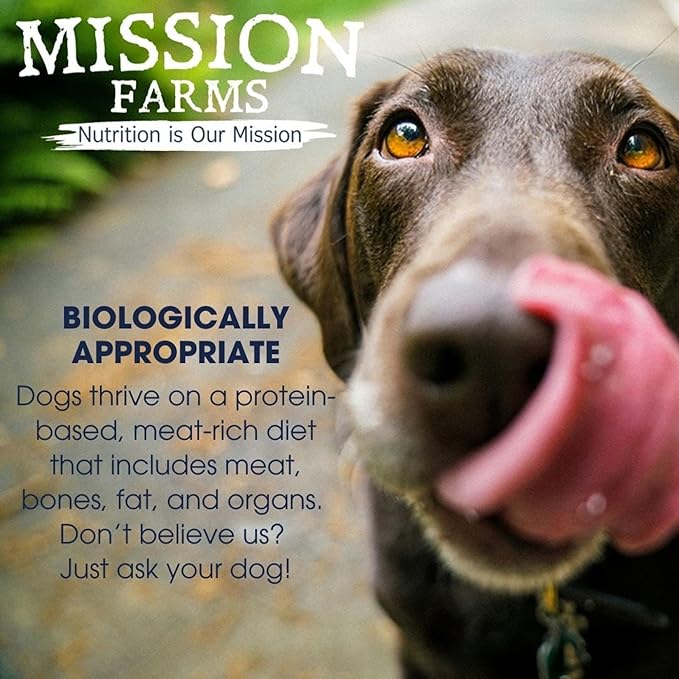 Mission Farms Freeze-Dried Raw Dog Food Pork & Pumpkin Complete & Balanced for All Life Stages, 14 oz