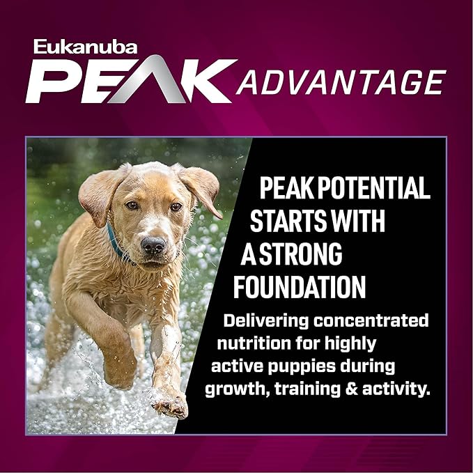 EUKANUBA Premium Performance Puppy Pro Puppy Dry Dog Food, 35 lb Bag