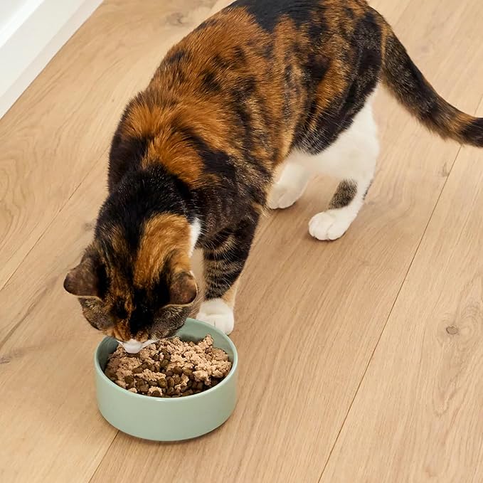 Open Farm, Canned Cat Food Topper, Silky Mousse Made with 95% Responsibly Sourced Icelandic Fish, Grain & Legume Free, Salmon & Cod Recipe, 3.17oz Cans (Pack of 17)