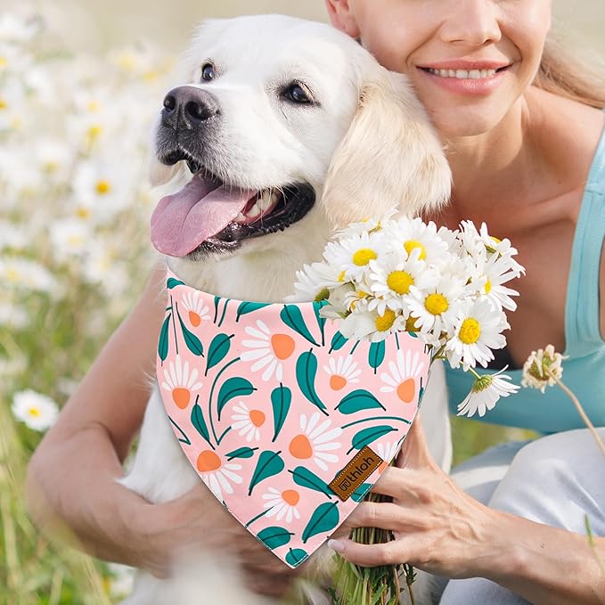 Spring Dog Bandanas - 2 Pack Floral Dog Scarf for Boy & Girl, Premium Durable Fabric, Adjustable Fit, Gift for Dogs, Daisy Bandana for Large and Extra Large Dogs (X-Large)