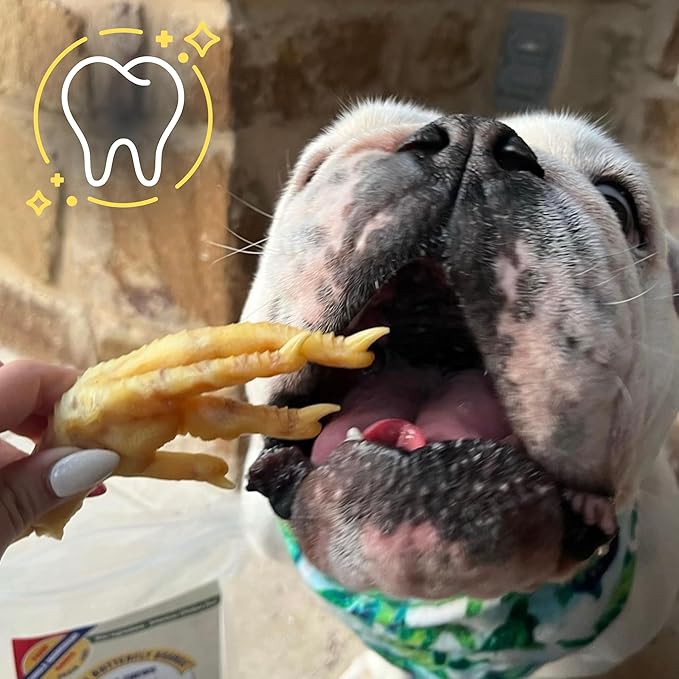 Green Butterfly Chicken Feet Dog Treats - 100% All Natural Single Ingredient Dental Chews for Dogs Made in USA from Farm Raised American Chickens - Rich in Glucosamine for Joint Health (10 Pack)