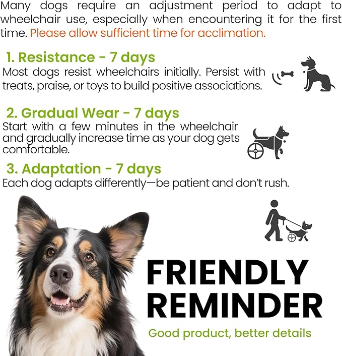 Dog Wheelchair for Back Legs - Lightweight Mobility Cart for Medium Breed Dogs with Disabled, Injured, or Arthritic Hind Legs - Includes High-Visibility Vest, Leash & Sling Lift (L)