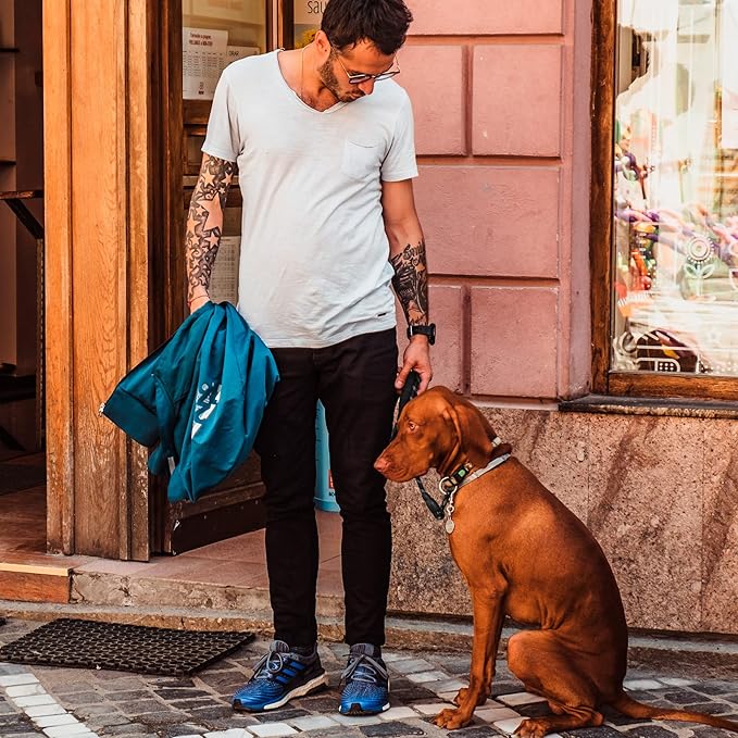 GEIT 2/4/5/6FT Dog Leash, Heavy Duty Rope Leashes, Reflective Nylon Pet Lead with Aluminum Quick Release/Locking Tactical Frog Clip for Small Medium and Large Dogs, Black, 1/2 inch