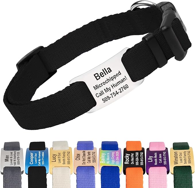 GoTags Personalized Dog Collar with Nameplate, Adjustable Dog Collar with Custom Engraved Slide On Pet ID Tag in Stainless Steel, Silent, No Noise Dog Tag for Large Medium and Small (Black, Large)