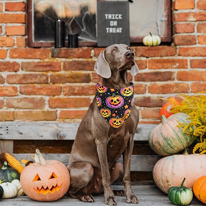 Halloween Dog Bandanas - 2 Pack Reversible Pumpkin and Bat Pet Scarf for Boys and Girls | Fall Dog Bibs | Premium Durable Fabric | Holiday Dog Bandana for Large and Extra Large Dogs (X-Large)