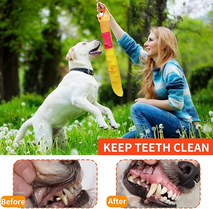 Dog Enrichment Toys - Dog Puzzles Squeaky Treat Dispensing Crinkle Plush Snuffle Toys - Treat Toy for Small Medium Large Breed Puppy, Snail