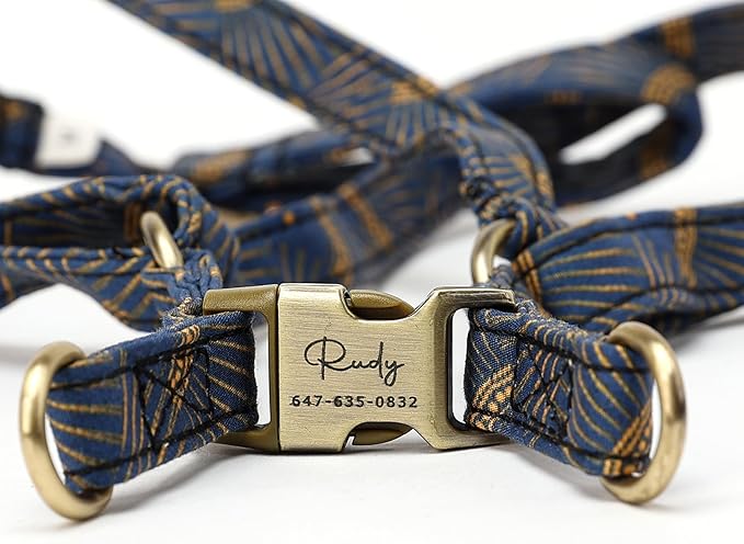 Angie and Allie Organic Cotton Personalized Step in Dog Harness,Custom Dog Halter Vests,Adjustable No Pull Canine Halter Harness for Small Medium Large Dogs