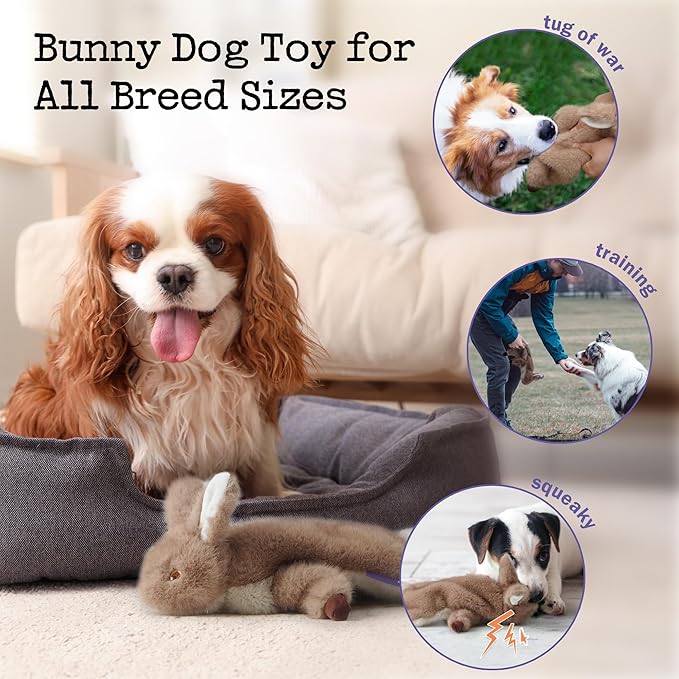 No-Stuffing Bunny Squeaky Dog Toy for Aggressive Chewers, Tear-Resistant Plush Puppy Teething Toy to Keep Them Busy, Tough Interactive Tug of War & Dental Chew for Small Medium Large Dogs