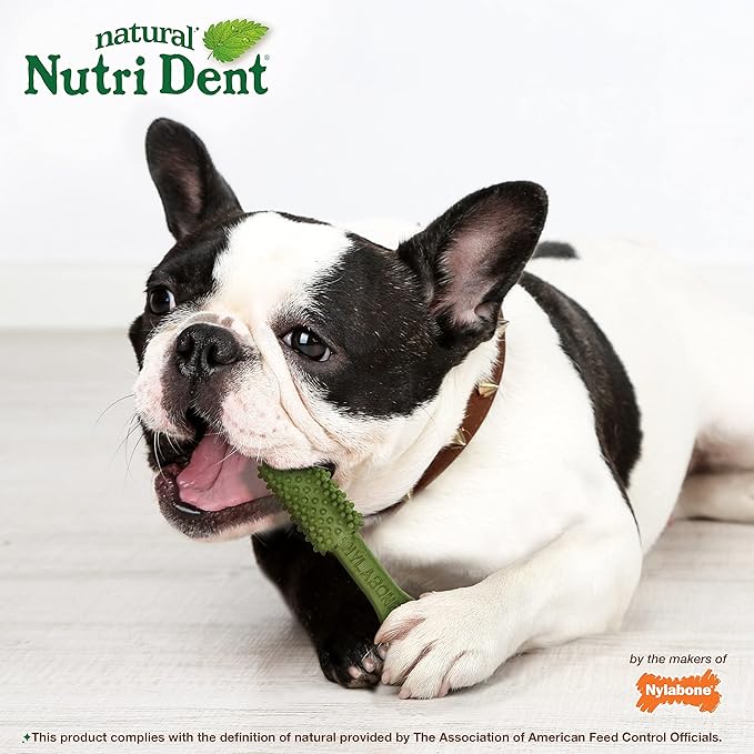 Nylabone Nutri Dent Dog Dental Treats - Natural Dog Teeth Cleaning & Breath Freshener - Dental Treats for Dogs - Fresh Breath Flavor, Medium (40 Count)