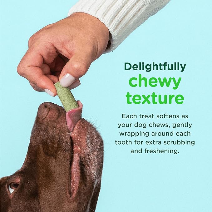 Minties FreshBites Soft and Chewy Dental Treats for Dogs, Low Calorie Natural Mint Flavored Dental Chews for Dogs, 50 Count, Chews Clean Teeth, Fight Bad Breath, and Removes Plaque and Tartar