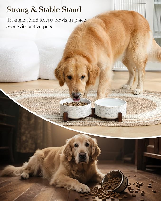 MALACASA Dog Bowl Set with Walnut Wood Stand, 6 Cups Ceramic Pet Bowls for Puppy Dogs, Dual Food and Water Bowls with Non-Slip Base, Basic Bowls for Your Dog, Five-Leaf Grass & Honeycomb