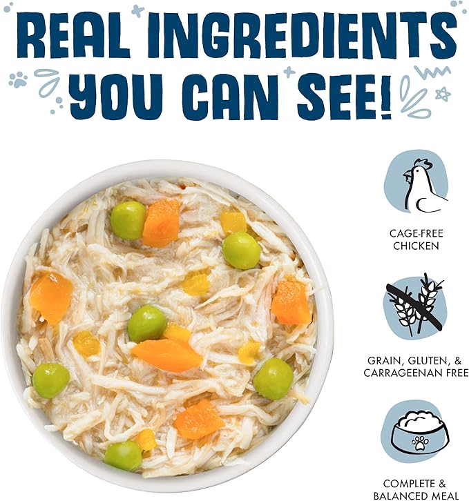 Weruva Classic Cat Food, Grandma’s Chicken Soup with Chicken Breast & Pumpkin in Gravy, 3oz Can (Pack of 24)