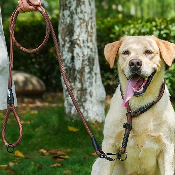 Rope Dog Leash, 4 ft Heavy Duty Dog Leash with Aviation Aluminum Auto Locking Carabiner, Strong Nylon Pet Lead for Small, Medium, Large Dogs (Brown, 4FT)