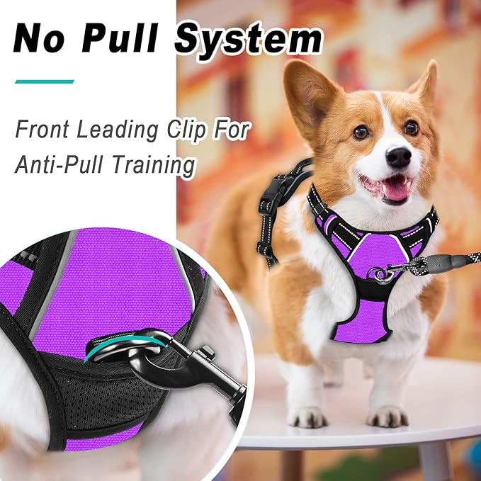 BARKBAY No Pull Dog Harness Large Step in Reflective Dog Harness with Front Clip and Easy Control Handle for Walking Training Running(Purple,M)