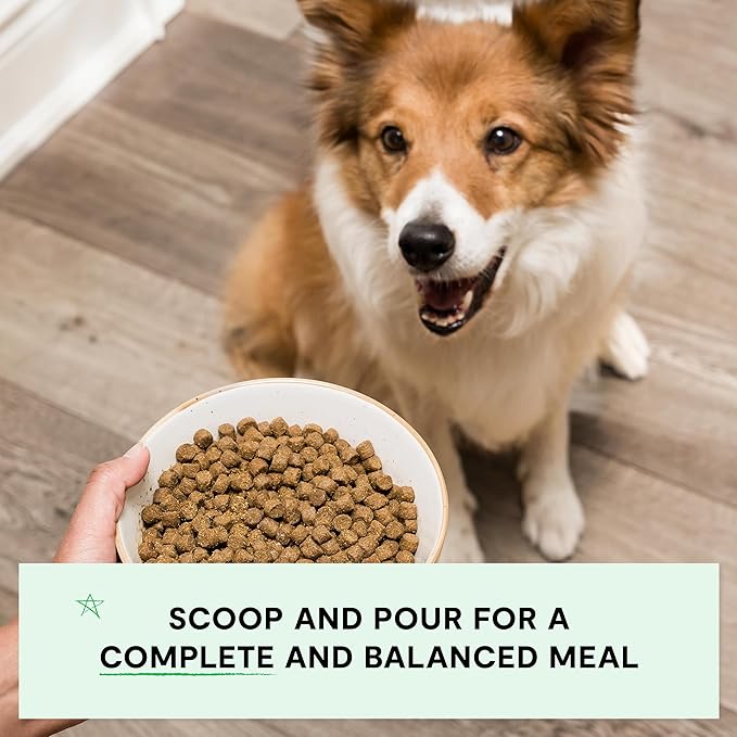 Open Farm, Grain-Free Dry Dog Food, Complete & Balanced Kibble, Sustainably & Ethically Sourced Ingredients, Non-GMO Veggies & Superfoods to Support Overall Health, Turkey and Chicken Recipe, 4lb Bag