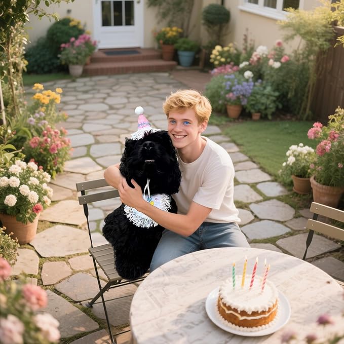 Dog Birthday Party Supplies, Dog Birthday Bandana Set,Bling Boy Girl Party Hat with Numbers for Puppy Large Medium Small Pet (Silver Set, Large)