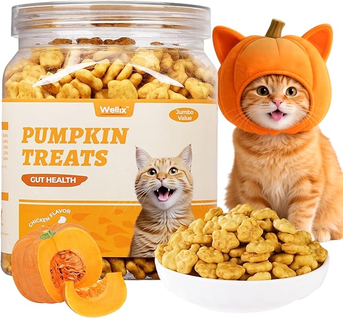 Wellix 13.5oz Healthy Cat Treats Pumpkin Flavor - Chicken Formula Stomach Sensitive Kitten Snacks for Digestive Support - Cat Constipation Relief Low Calorie Food Topper for Cats