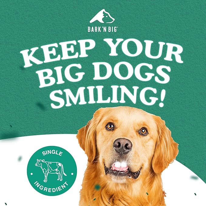 BARK'N BIG Thick 12 Inch Odor Free Bully Sticks for Large Dogs Made in USA - Single Ingredient Dog Chew - Premium Pizzle Sticks - Beef Pizzles for Large Breeds - 5 Count