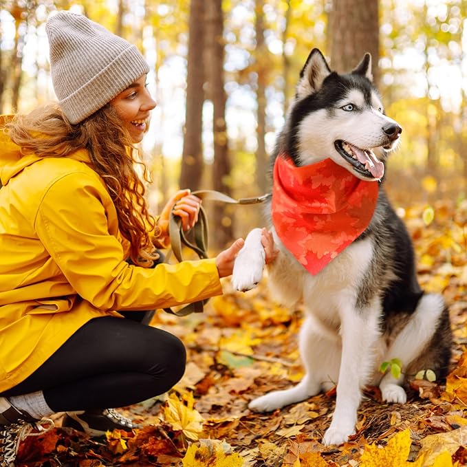 100 Pieces Thanksgiving Fall Dog Bandanas Bulk Maple Leaves Autumn Dogs Bandanas Soft Doggie Bibs Adjustable Triangle Scarves with Pumpkin Patterns for Small Medium Large Pet Costume