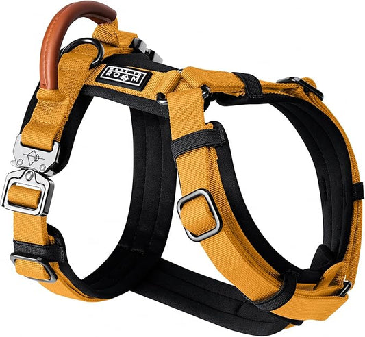 MADE TO ROAM Premium Explorer Harness - Y-Shaped Dog Harness with Adjustable Durable Nylon, Soft Padding, Metal Buckles and Leather Handle for Small, Medium, Large Dogs (Michigan Autumn, Size 5)