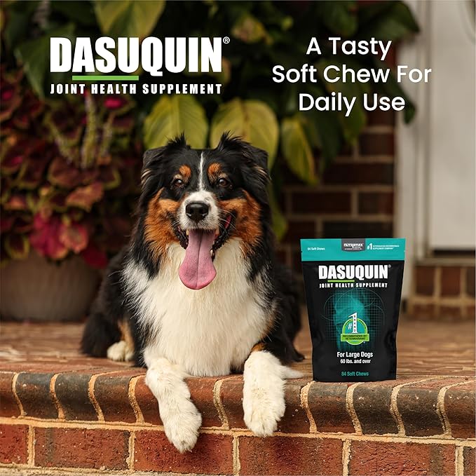 Dasuquin Soft Chews for Dogs 60 lbs and over, 84 Chews