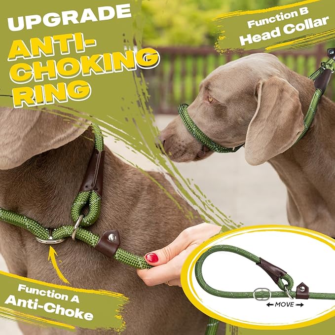Fida Durable Slip Lead Bulk Pack of 5, Heavy Duty 1/2" x 6 FT Comfortable Strong Rope Slip Leash for Large, Medium & Small Dogs - No Pulling Pet Training Leash with Highly Reflective (Green)