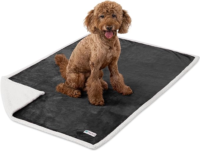 PetAmi Waterproof Dog Blanket for Medium Large Dog Puppy Cat Throw for Couch Cover Leakproof Protection, Sherpa Fleece, Reversible Soft Washable 60x40 Charcoal Gray