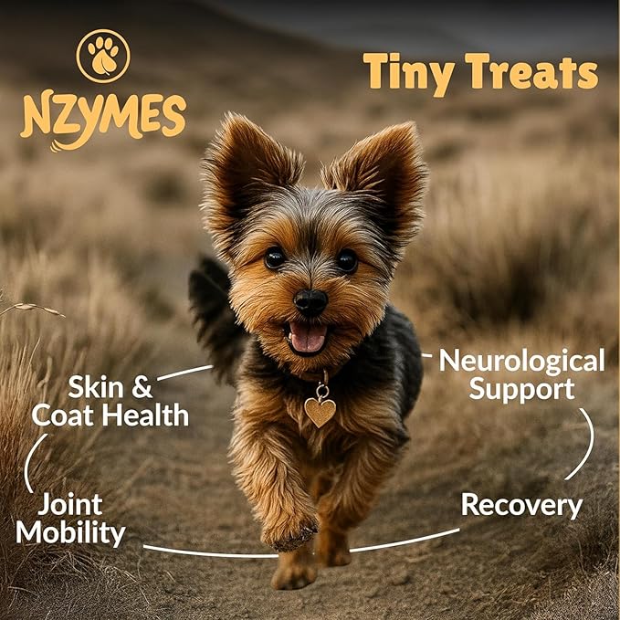 Nzymes® Antioxidant Tiny Treats - for Dogs Joints, HIPS, Paralysis, Skin, Coat, Hair Loss, Aging, Digestion, Seizures - Dog Treats for Small Dogs - 270 Treats - Made in The USA
