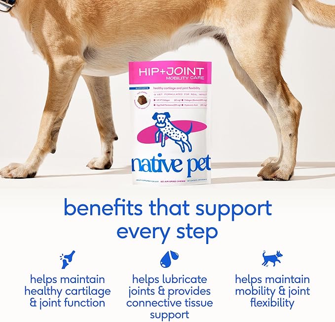 Native Pet Hip & Joint Supplement for Dogs - Advanced Dog Joint & Arthritis Supplement - Helps Maintain Healthy Cartilage, Joint Flexibility, Lubrication, & Function - with ESM & Collagen - 60 Chews