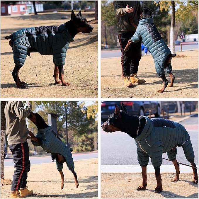 ArmyGreen Dog Jumper, Windproof, Reflective - Dirigible Winter Jacket for S, M, L - Zip, Adjustable Sizes