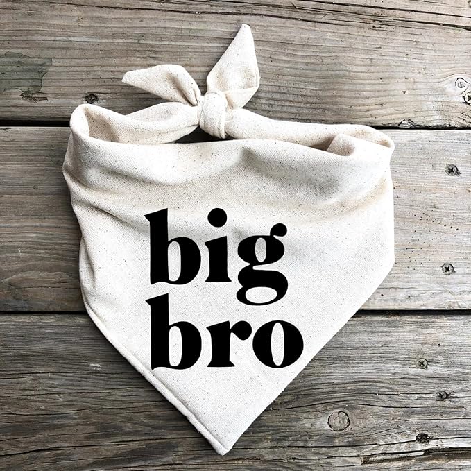 Big Bro Dog Bandana Pregnancy Announcement Baby Announcement to Grandparents (X-Large)