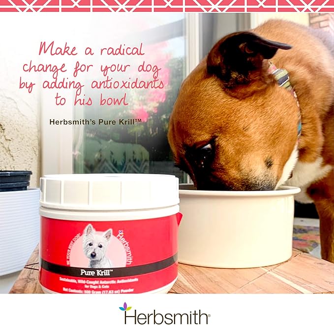 Herbsmith Pure Krill - Wild-Caught Antarctic Krill - Just 1 Ingredient - Astaxanthin for Dogs - Ready-to-Use Omega 3s – Alternative to Krill Oil for Dogs - 75g