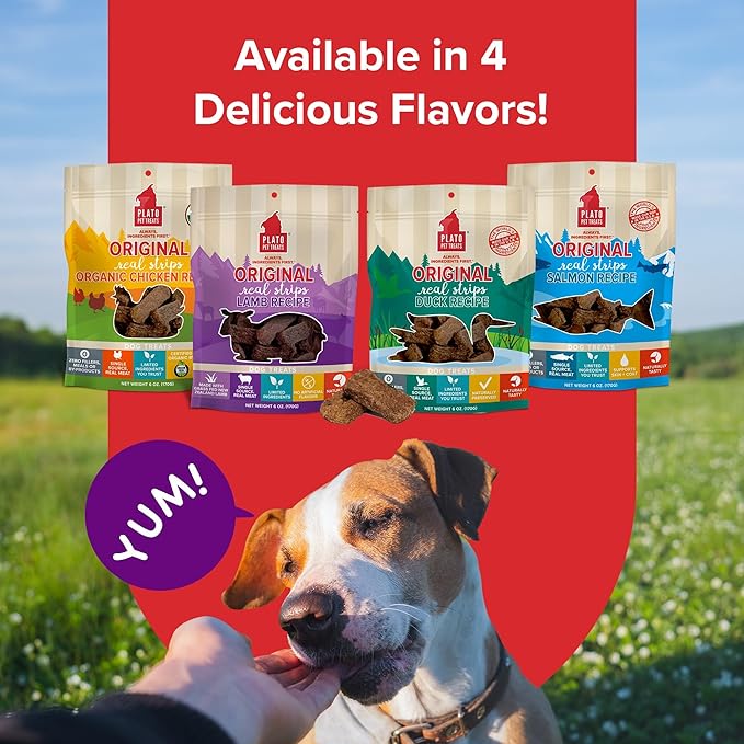 PLATO Pet Treats Real Strips - Air-Dried Meat Bars for Dogs - Delicious, Limited Ingredient Dog Treats - Grain Free - Original Real Strips Lamb 6oz