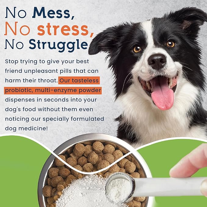 Pet Ultimates Probiotics for Dogs – 22-Species Dog Probiotics for Digestive Support & Antibiotics Recovery – Skin and Coat Supplement, Enhances Vitality – Dog Health Supplies (2 Pack)