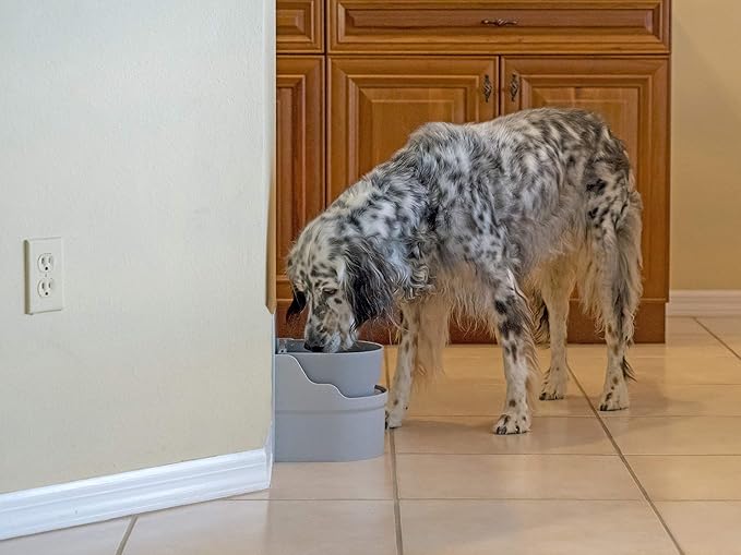 Perpetual Well Automatic Pet Water Bowl (Cabinet Mount)